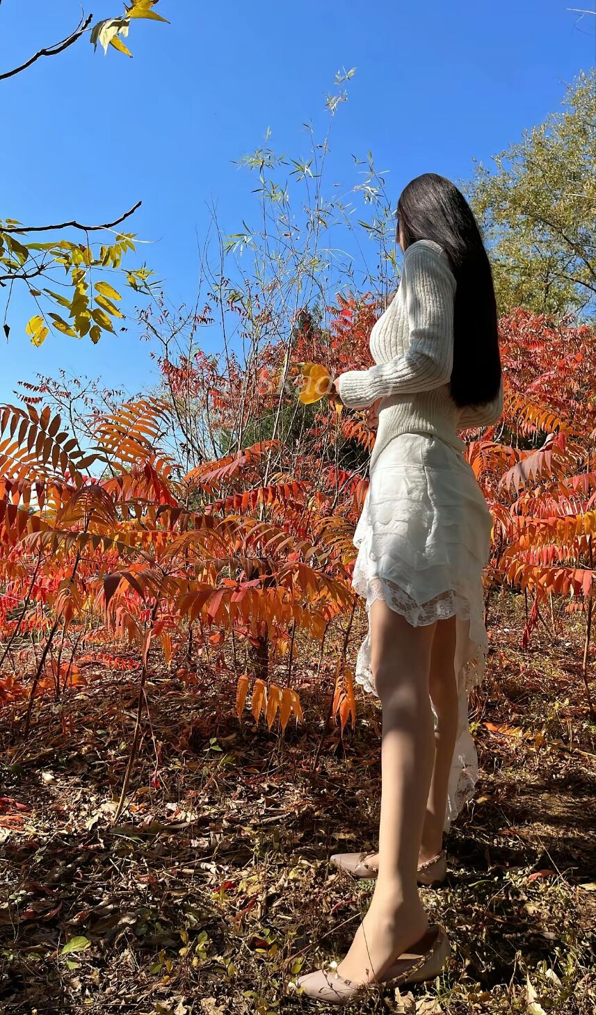 导游服务属于陪游服务吗？